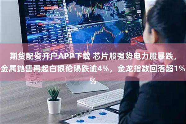 期货配资开户APP下载 芯片股强势电力股暴跌，金属抛售再起白银伦锡跌逾4%，金龙指数回落超1%
