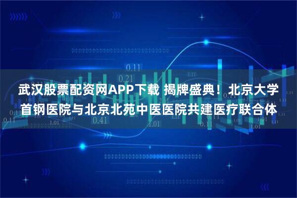 武汉股票配资网APP下载 揭牌盛典！北京大学首钢医院与北京北苑中医医院共建医疗联合体
