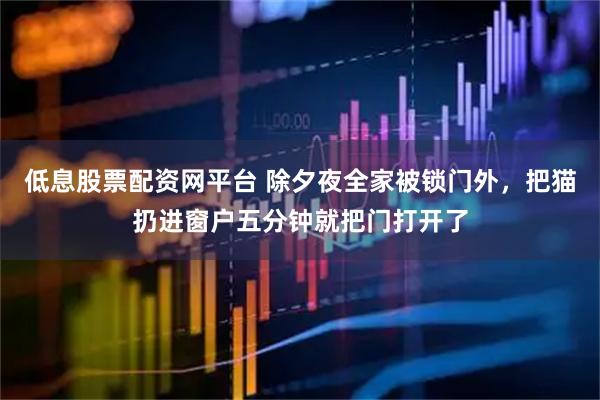 低息股票配资网平台 除夕夜全家被锁门外，把猫扔进窗户五分钟就把门打开了